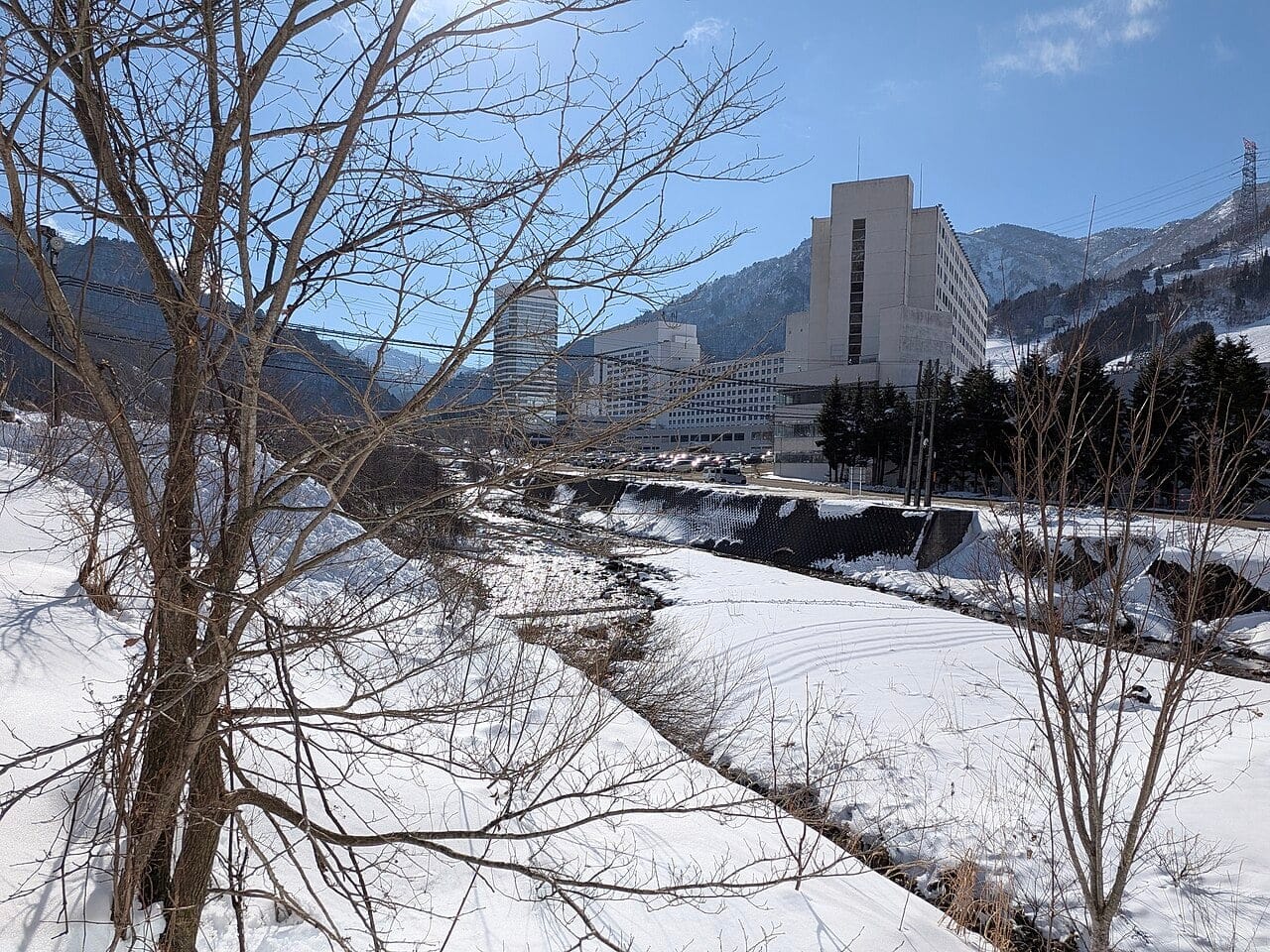 Forfait de Esqui en Japon (Niseko/Hakuba)