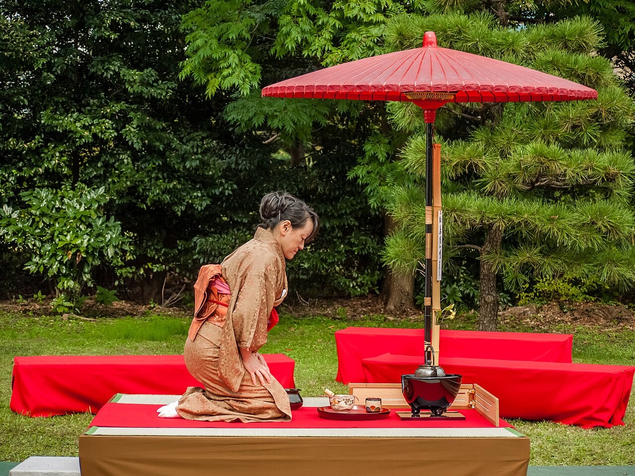 Ceremonia del Te Tradicional en Kioto